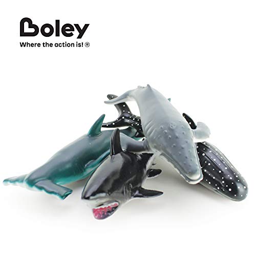 Boley Soft Sharks